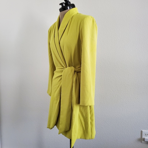 ZARA Dress - Picture 7 of 12